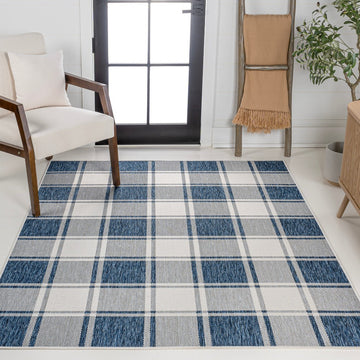 Sabine Traditional Farmhouse Bold Gingham Area Rug